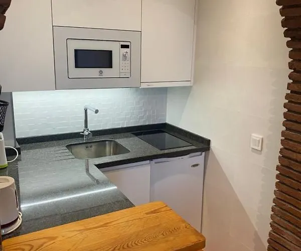 Palmeras 55 Menyber
